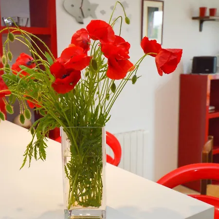 Apartment Irena