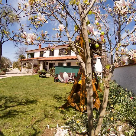 Apartment Irena *