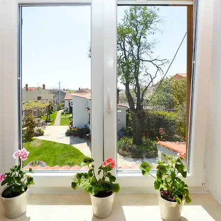 Apartment Irena *